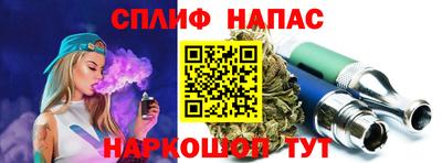 ешки Гагарин