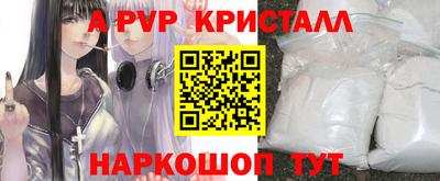 Альфа ПВП Гатчина