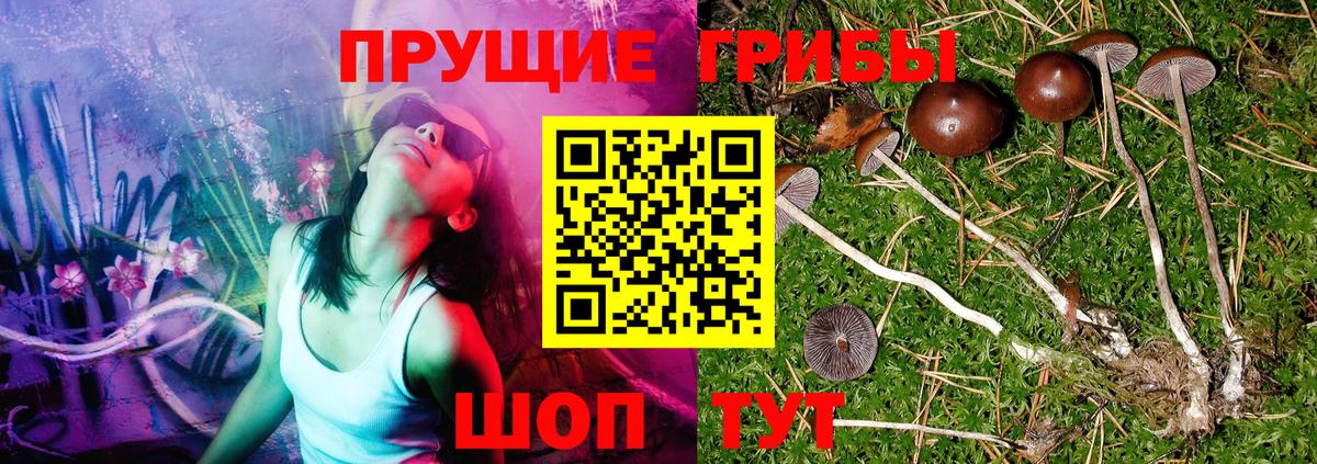 Мыски  Галлюциногенные грибы MAGIC MUSHROOMS  Вход с VPN 