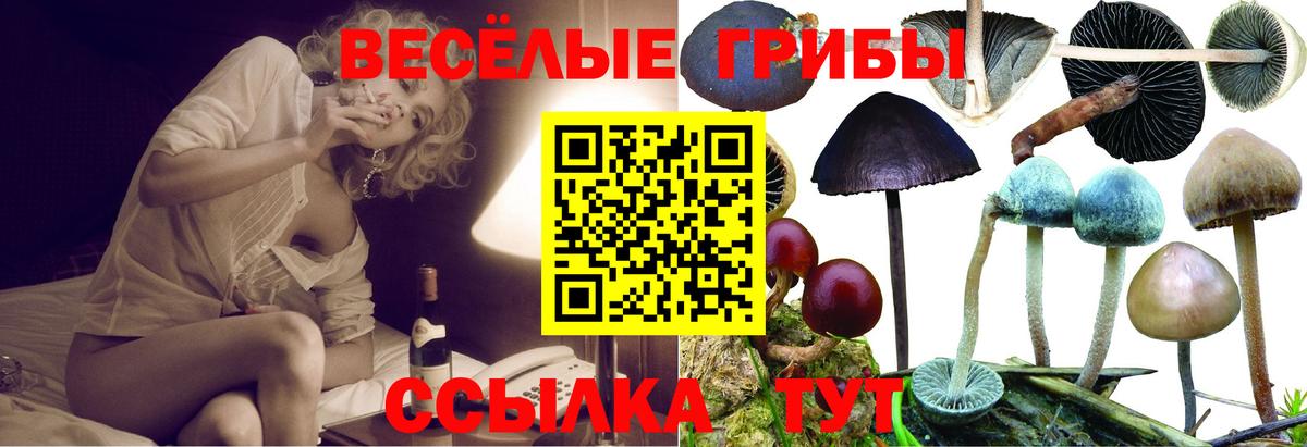 Галлюциногенные грибы Psilocybine cubensis Мыски